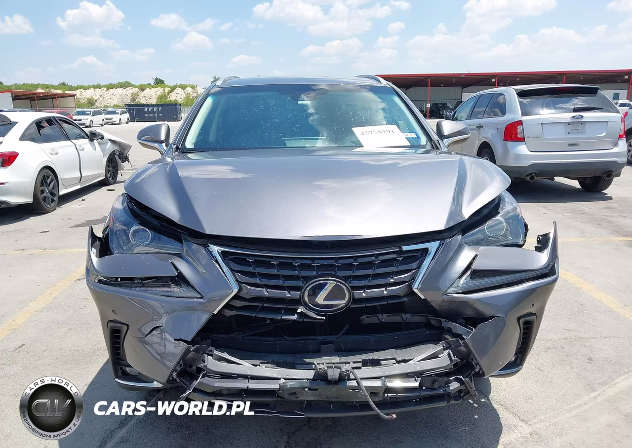 2018 Lexus Nx 300H VIN:JTJBJRBZ2J2088140 - 12