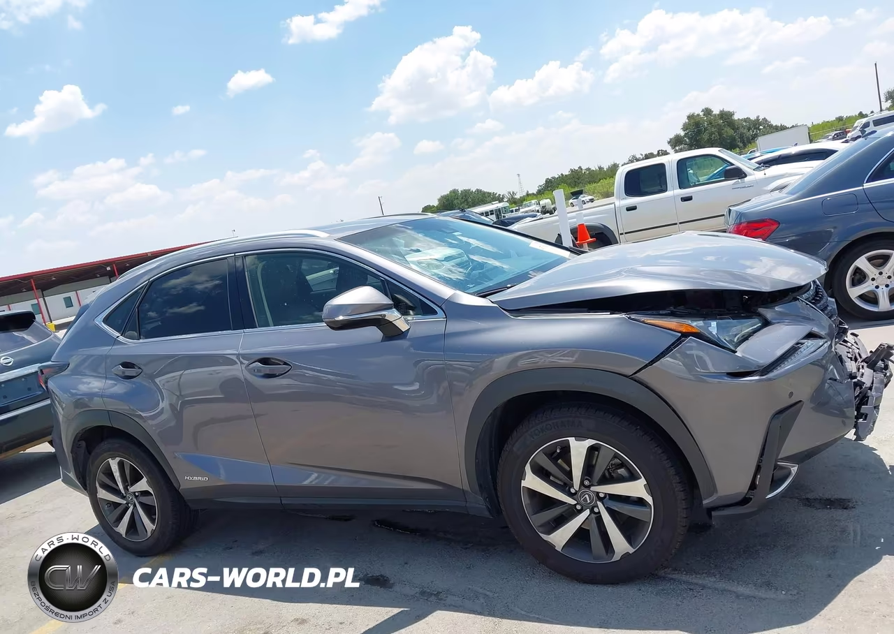2018 Lexus Nx 300H VIN:JTJBJRBZ2J2088140 - 13