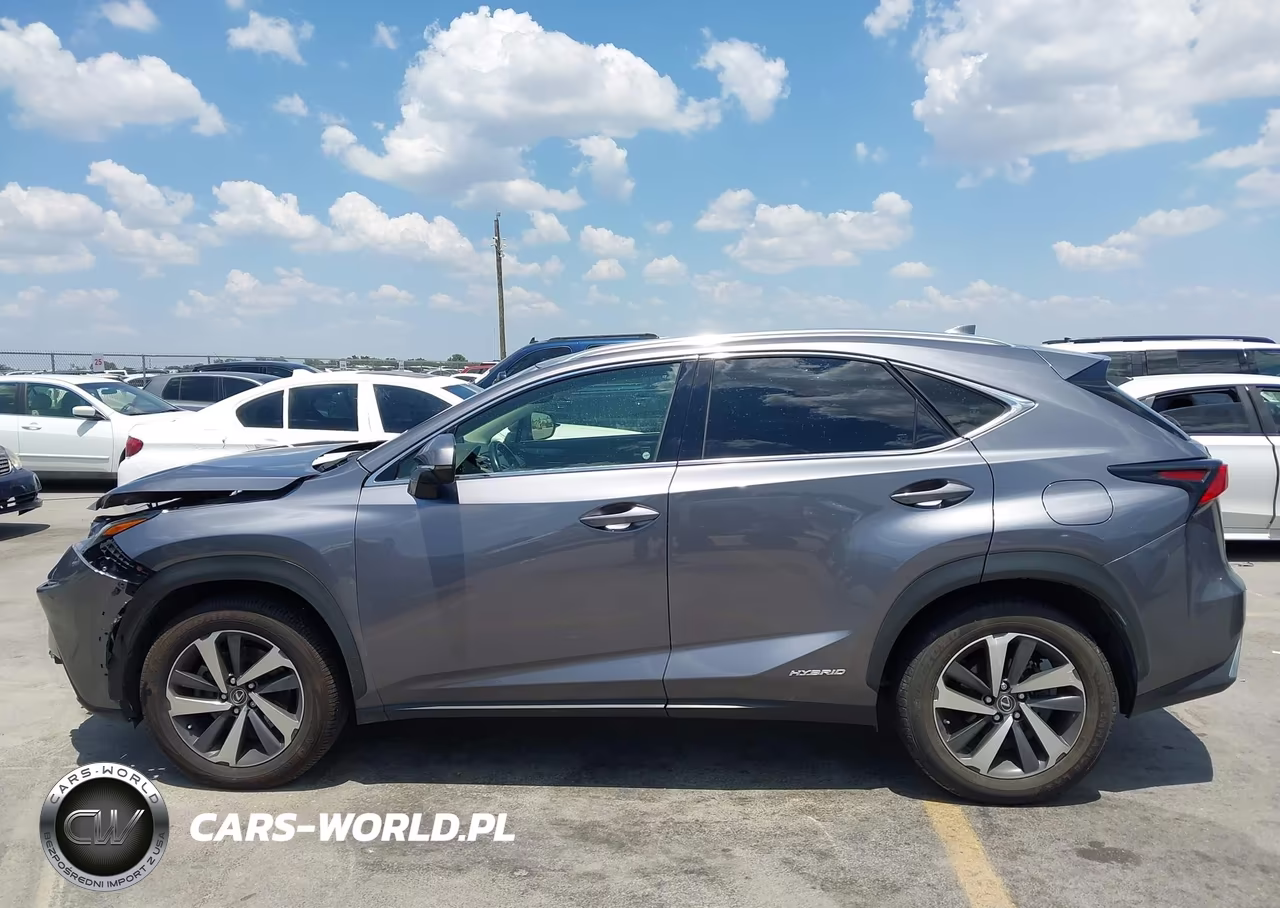 2018 Lexus Nx 300H VIN:JTJBJRBZ2J2088140 - 14