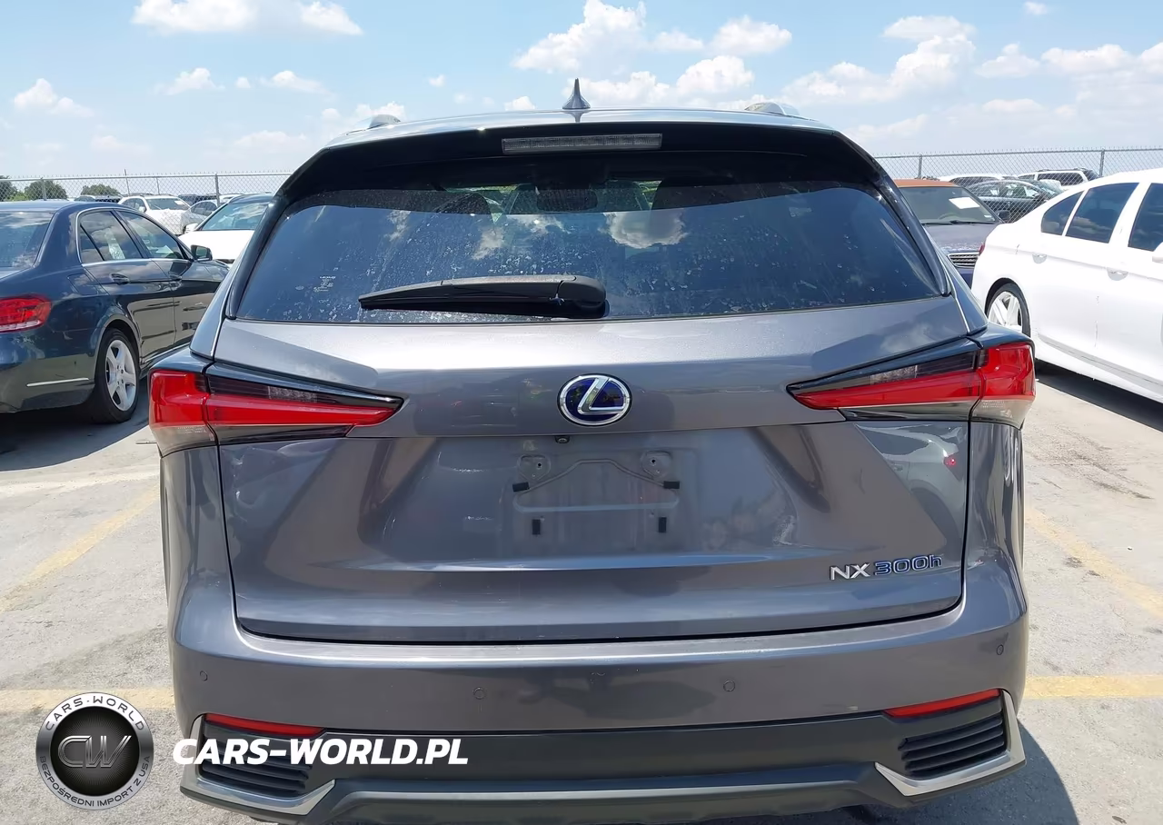 2018 Lexus Nx 300H VIN:JTJBJRBZ2J2088140 - 16