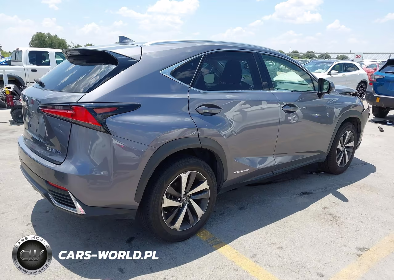 2018 Lexus Nx 300H VIN:JTJBJRBZ2J2088140 - 4