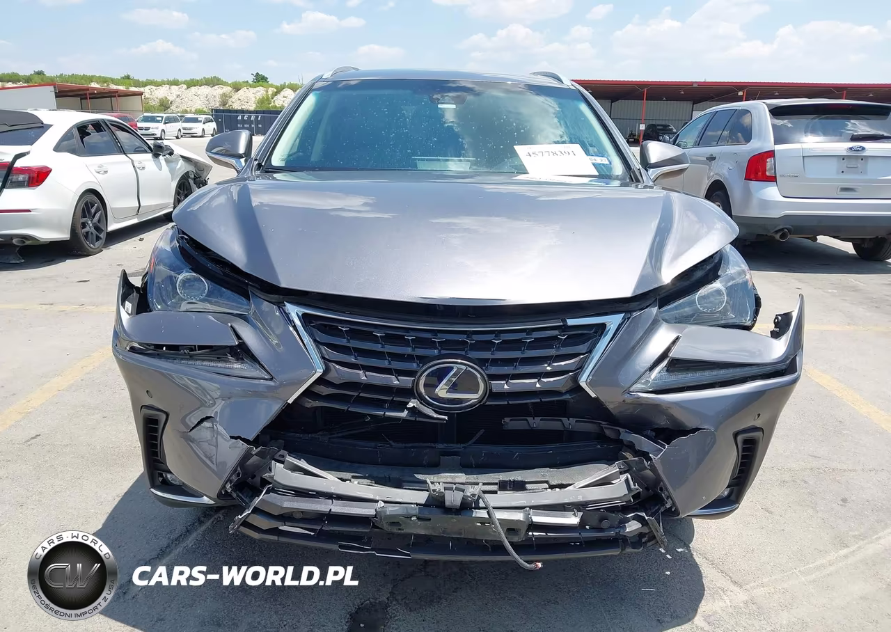 2018 Lexus Nx 300H VIN:JTJBJRBZ2J2088140 - 6