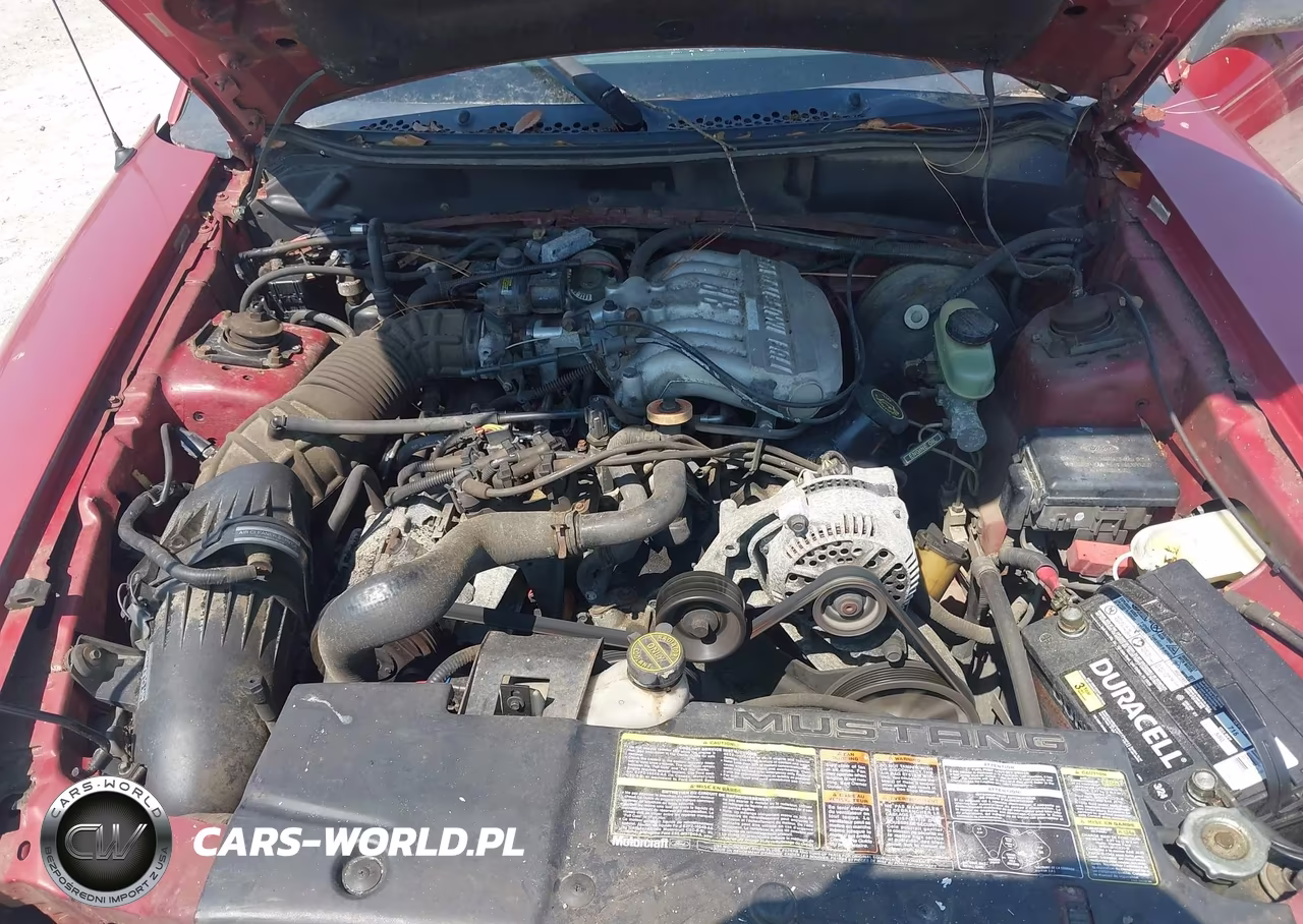 1994 Ford Mustang VIN:1FALP4042RF236880 - 10