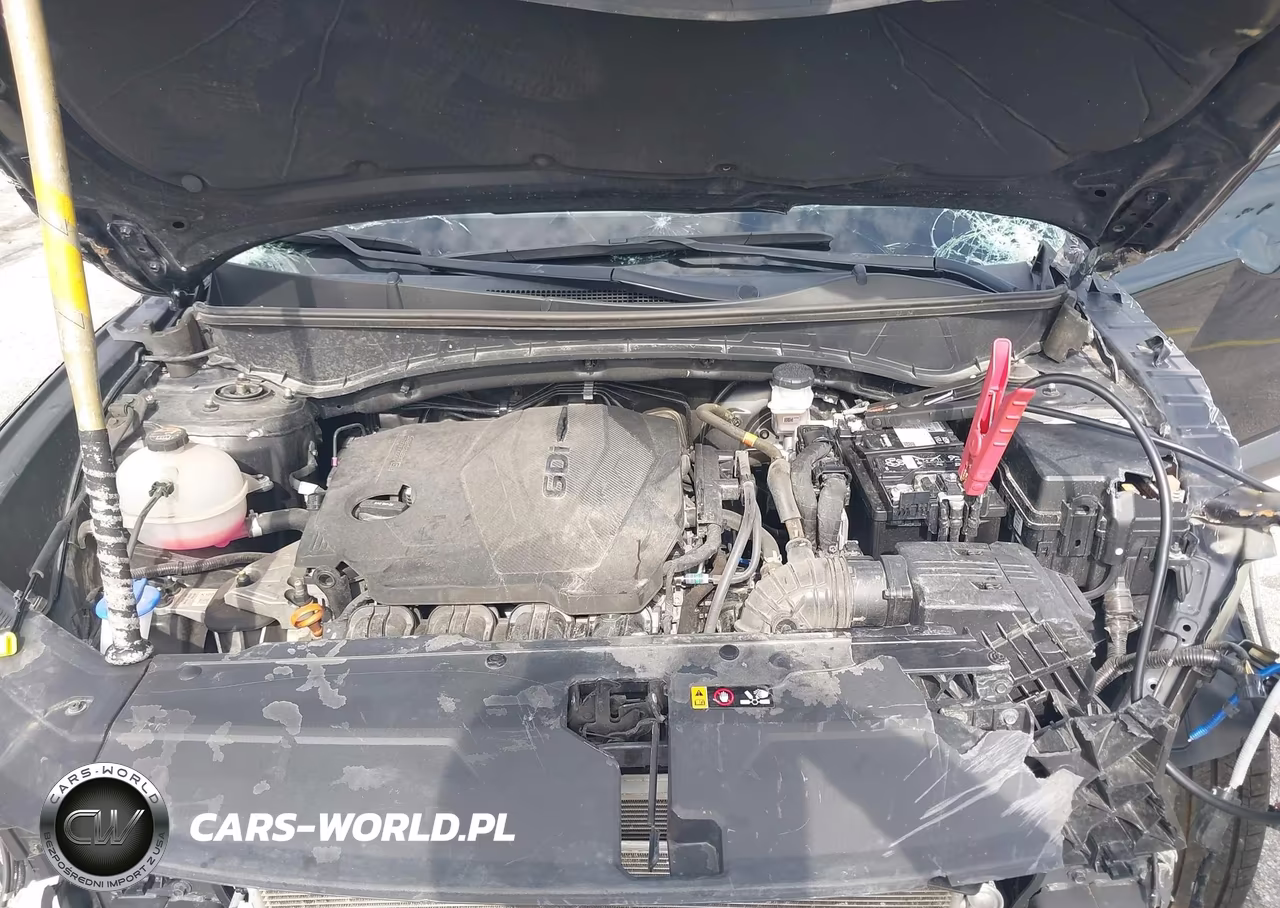 2024 Hyundai Tucson Sel VIN:5NMJB3DE6RH309250 - 10