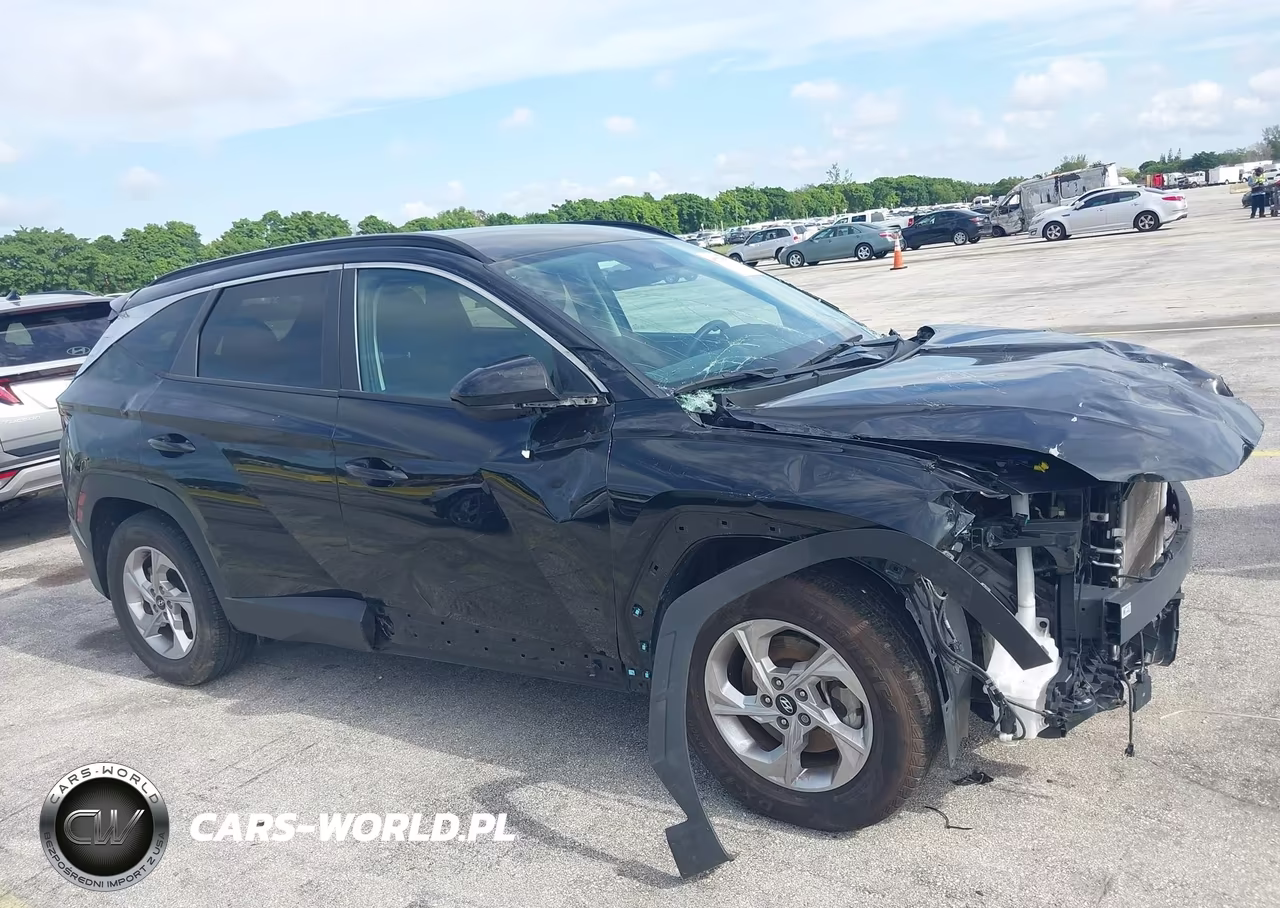 2024 Hyundai Tucson Sel VIN:5NMJB3DE6RH309250 - 18