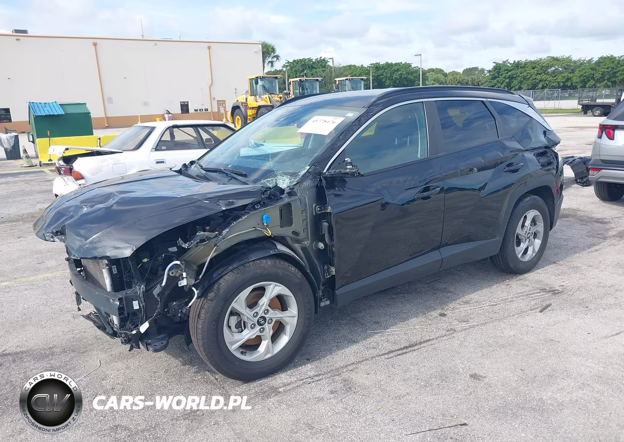 2024 Hyundai Tucson Sel VIN:5NMJB3DE6RH309250 - 2
