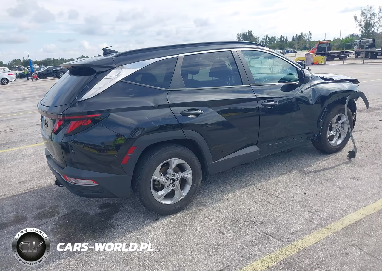 2024 Hyundai Tucson Sel VIN:5NMJB3DE6RH309250 - 4