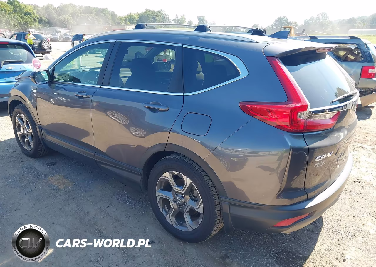 2019 Honda Cr-V Ex VIN:5J6RW1H59KA011615 - 3