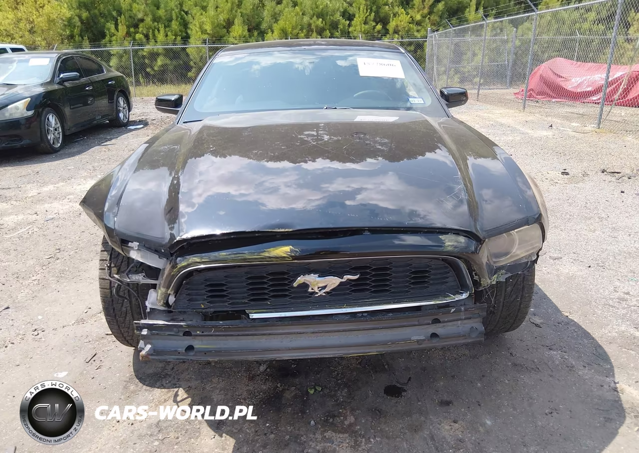 2014 Ford Mustang V6 VIN:1ZVBP8AM7E5288014 - 13