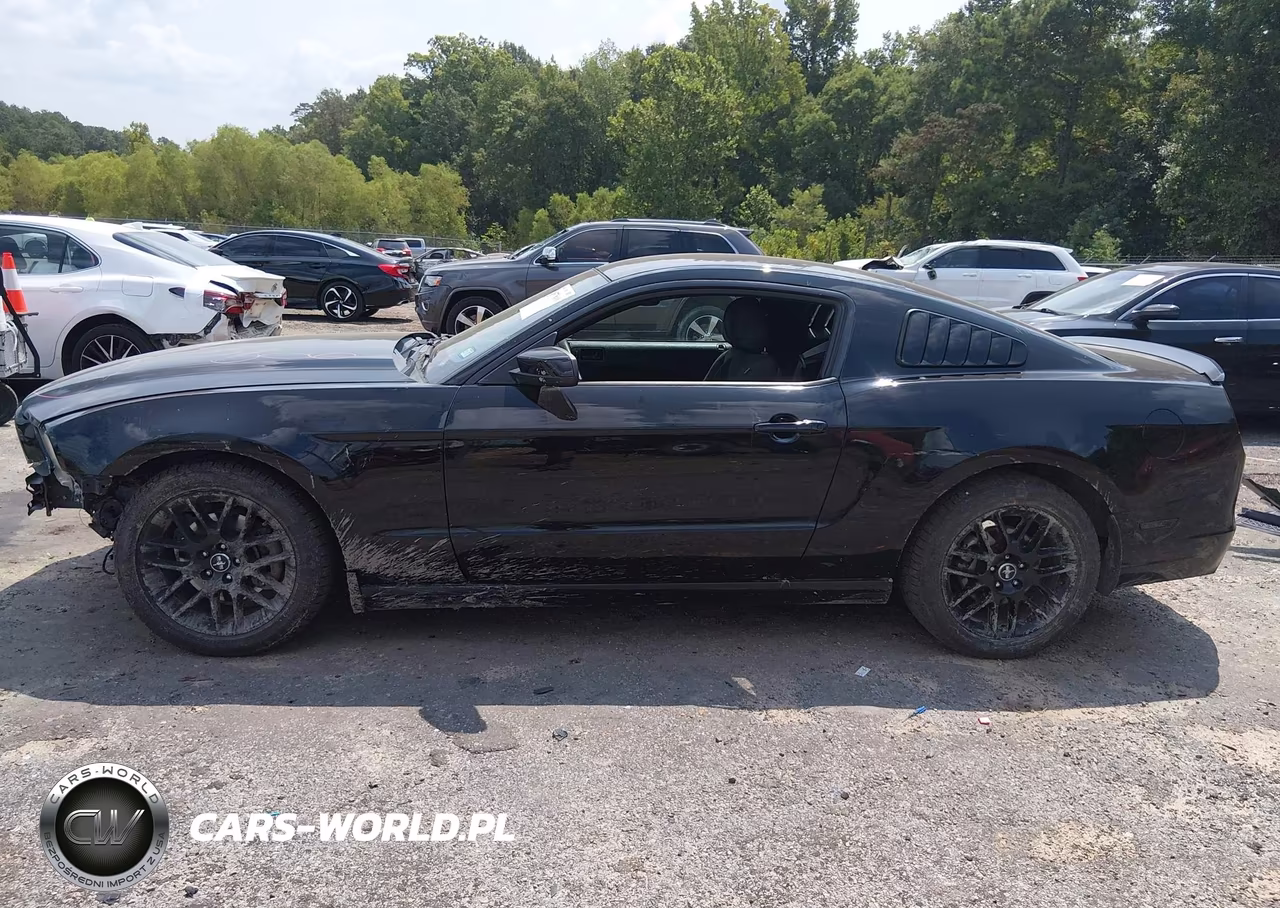 2014 Ford Mustang V6 VIN:1ZVBP8AM7E5288014 - 15