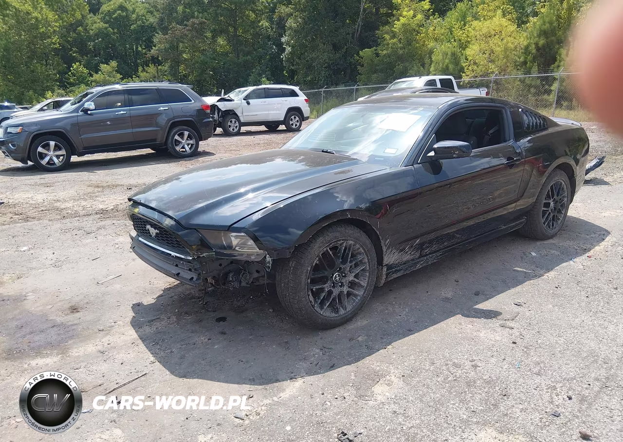 2014 Ford Mustang V6 VIN:1ZVBP8AM7E5288014 - 2