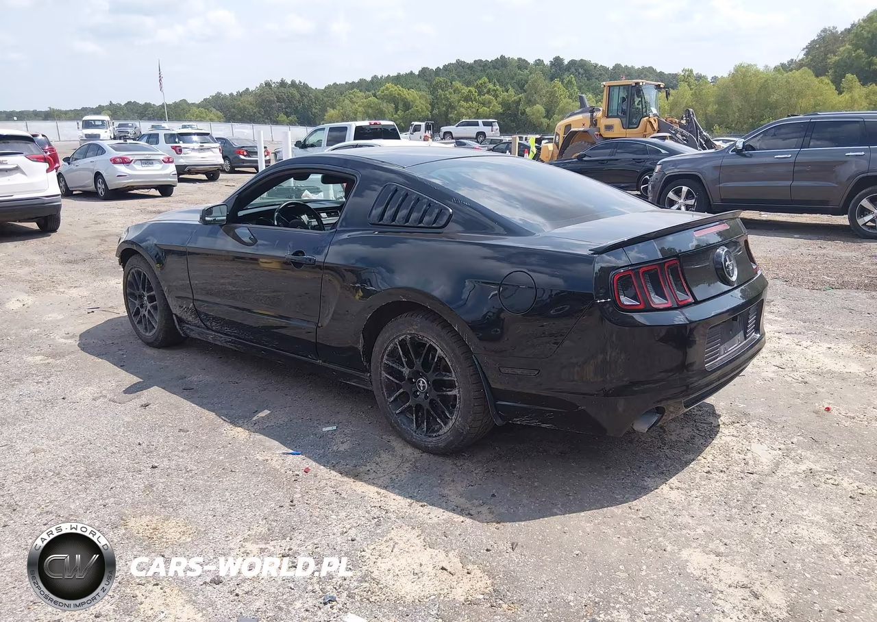 2014 Ford Mustang V6 VIN:1ZVBP8AM7E5288014 - 3