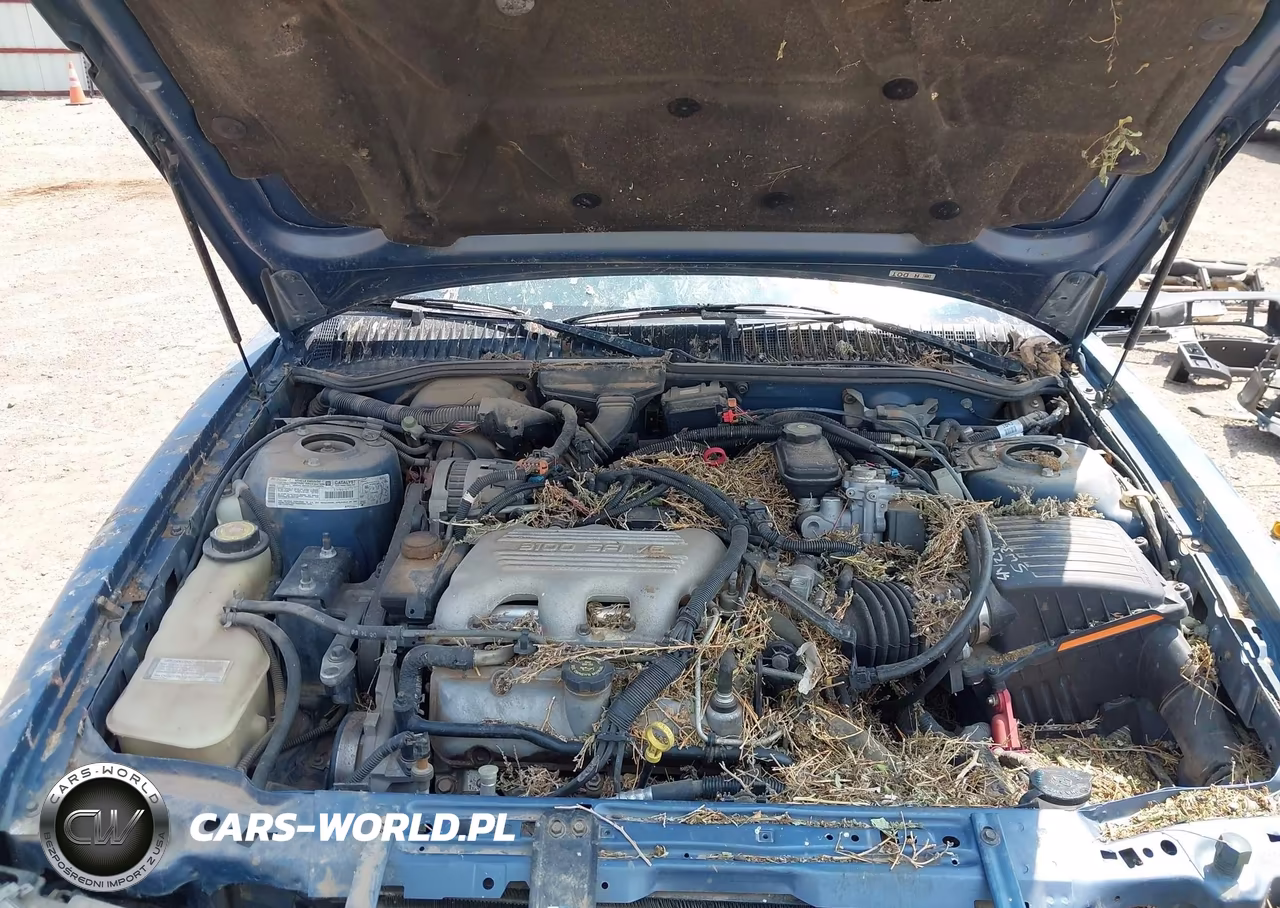 1997 Oldsmobile Achieva Series I VIN:1G3NL52M9VM305345 - 10