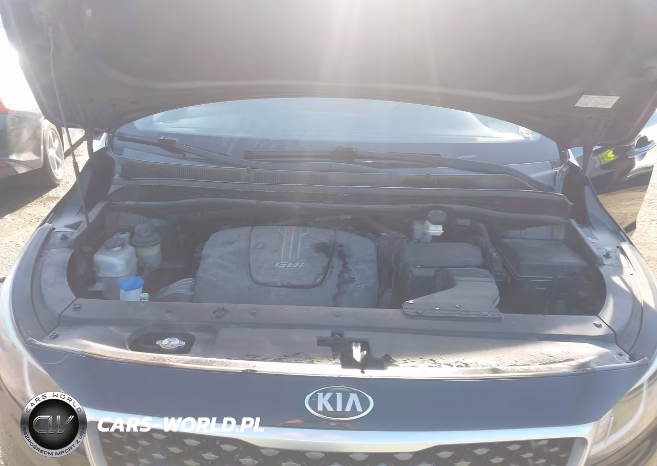 2015 Kia Sedona Lx VIN:KNDMB5C18F6020676 - 10