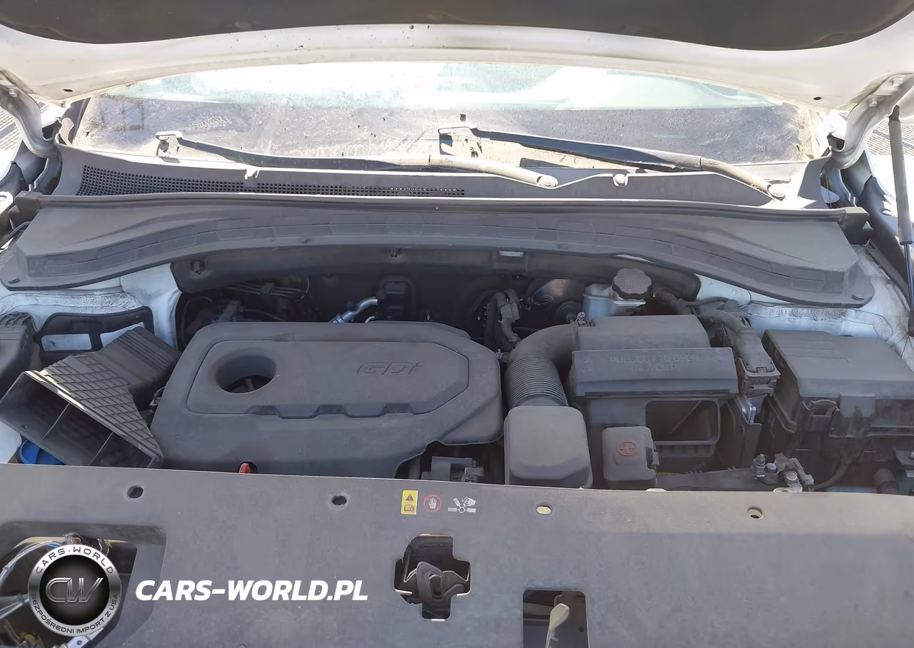 2019 Hyundai Santa Fe Se VIN:5NMS23AD4KH100403 - 10