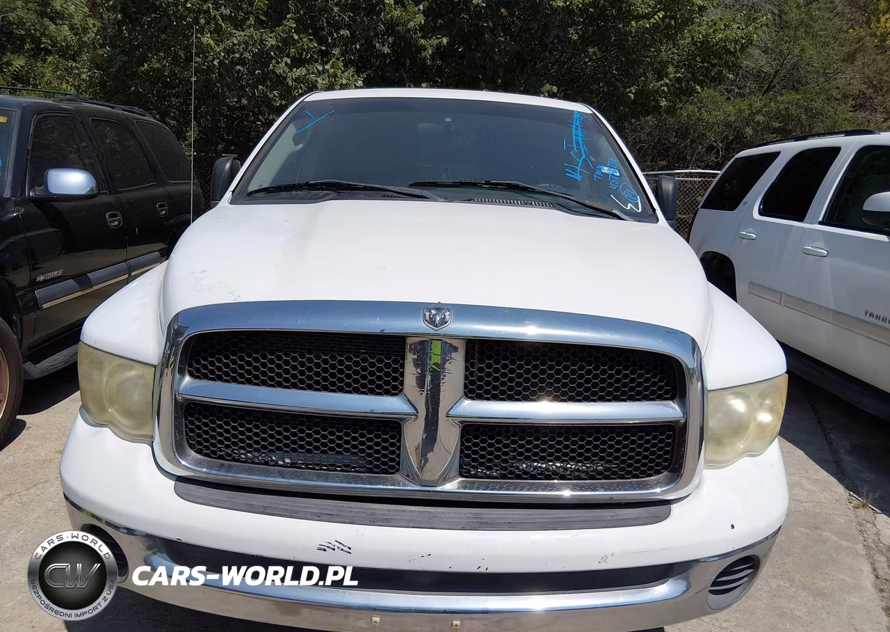 2004 Dodge Ram 1500 St VIN:1D7HA16N84J284346 - 12