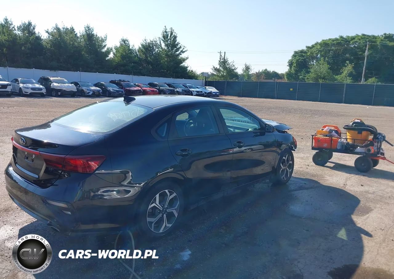 2019 Kia Forte Lxs VIN:3KPF24AD0KE123014 - 4