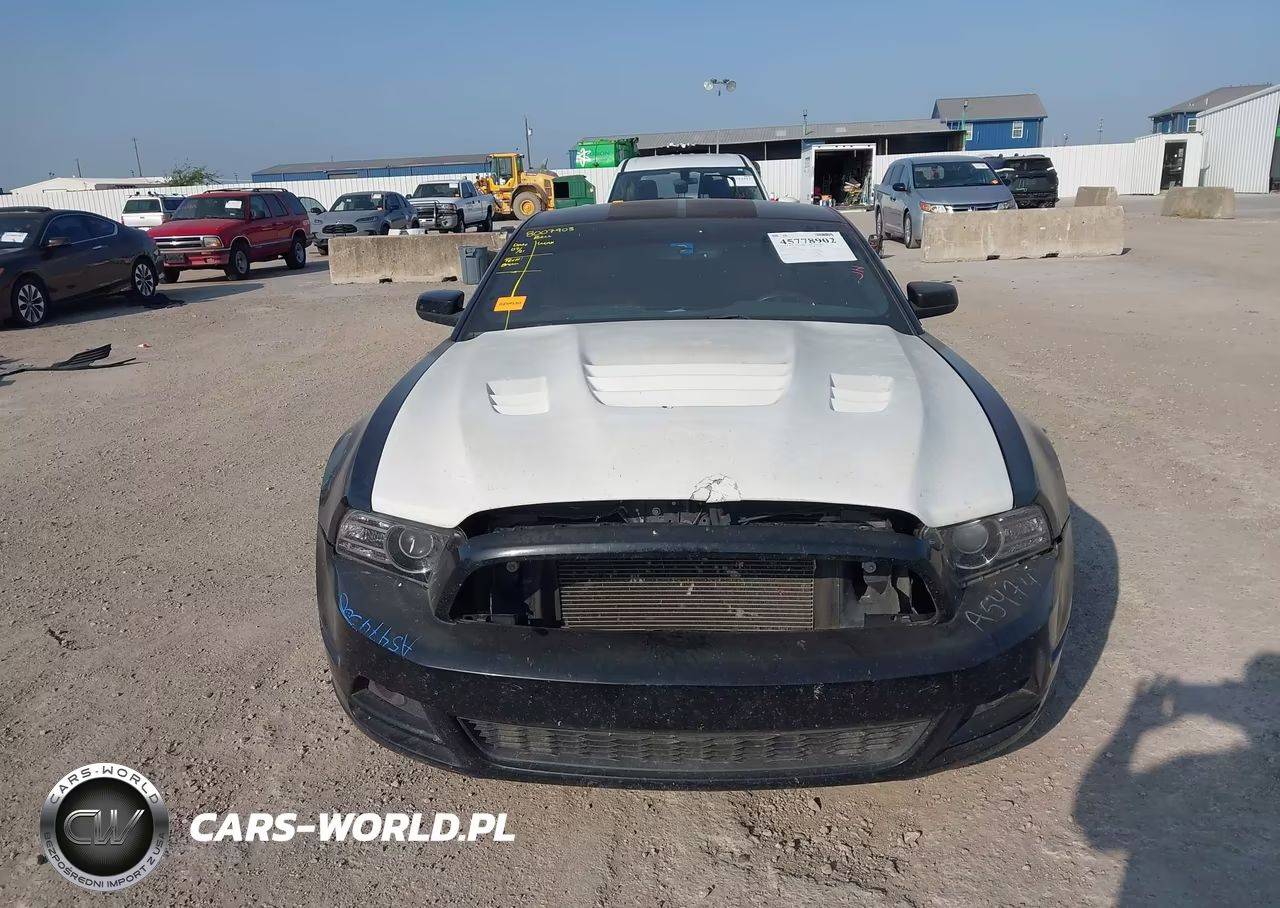 2014 Ford Mustang V6 Premium VIN:1ZVBP8AM1E5204317 - 12