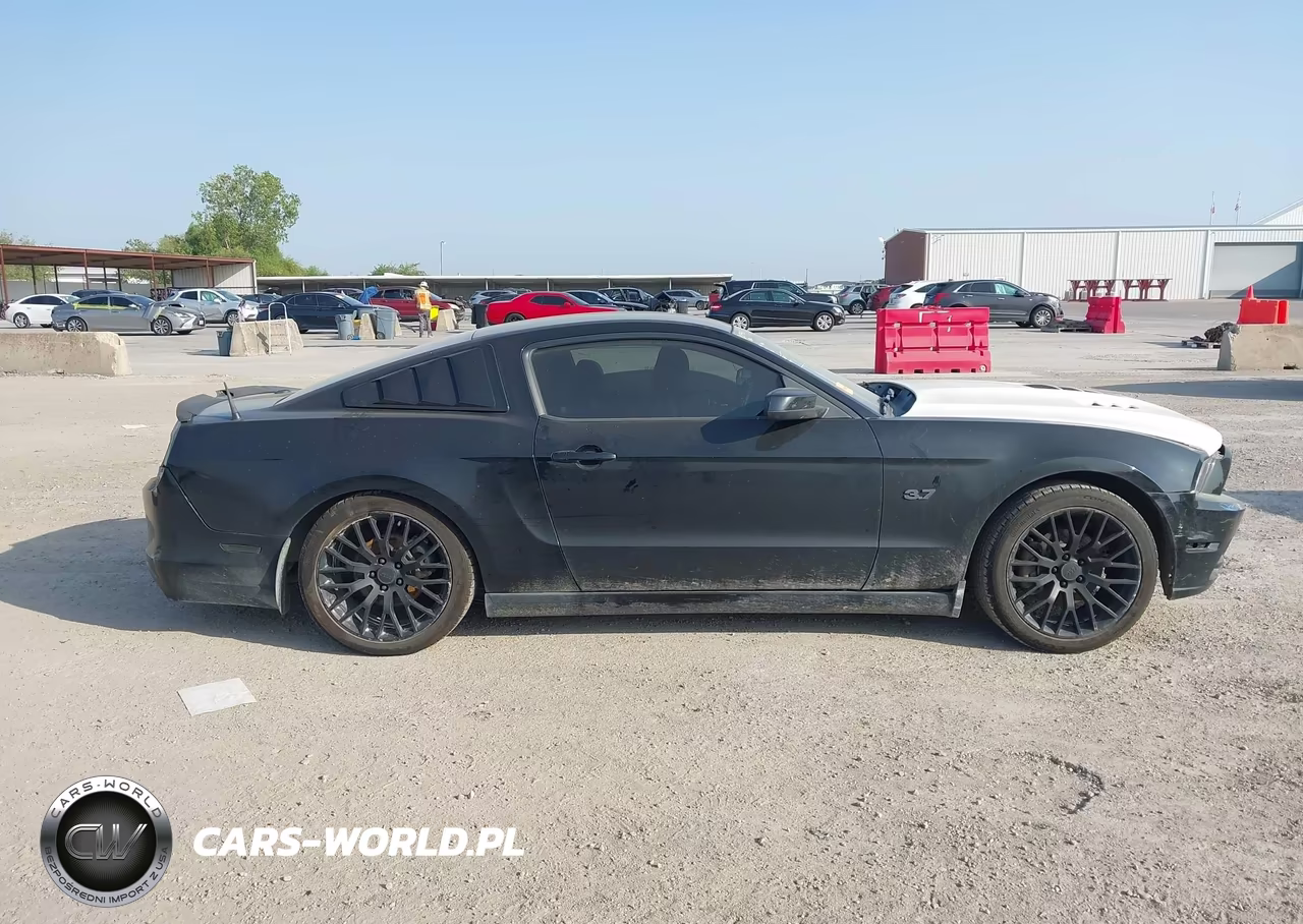 2014 Ford Mustang V6 Premium VIN:1ZVBP8AM1E5204317 - 13