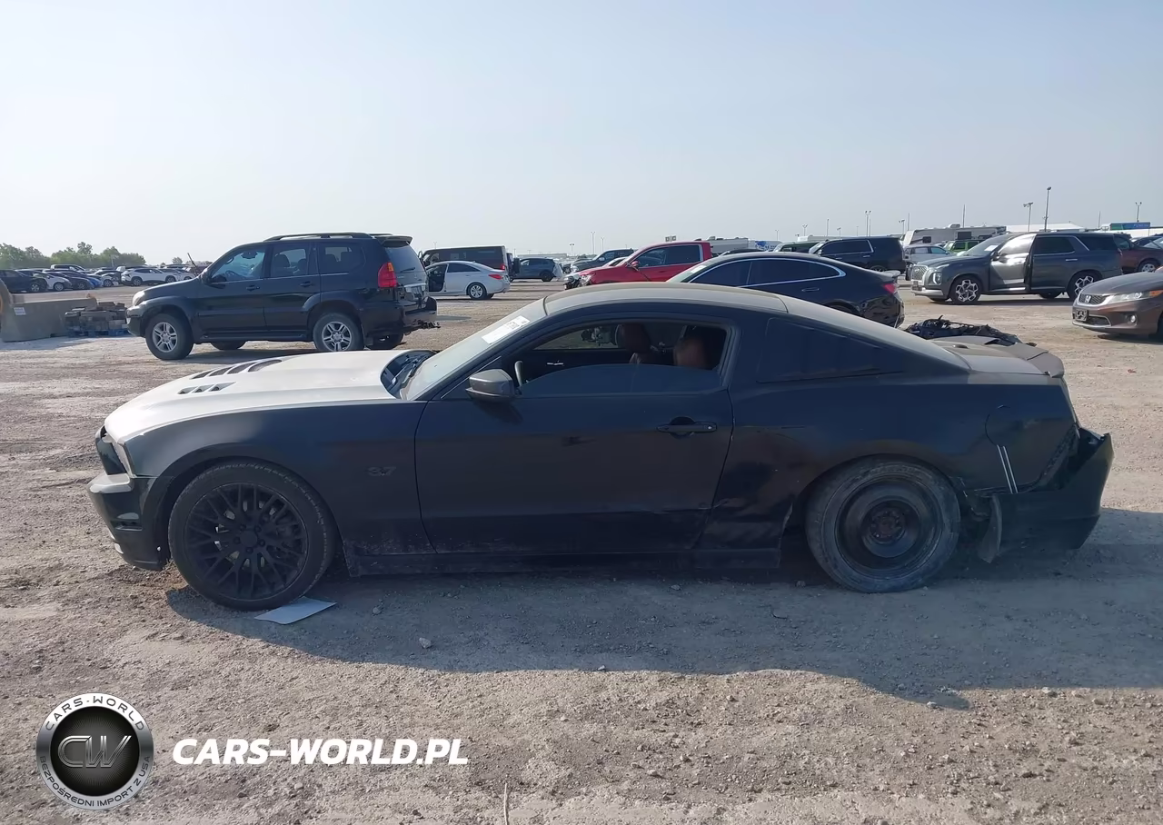 2014 Ford Mustang V6 Premium VIN:1ZVBP8AM1E5204317 - 14