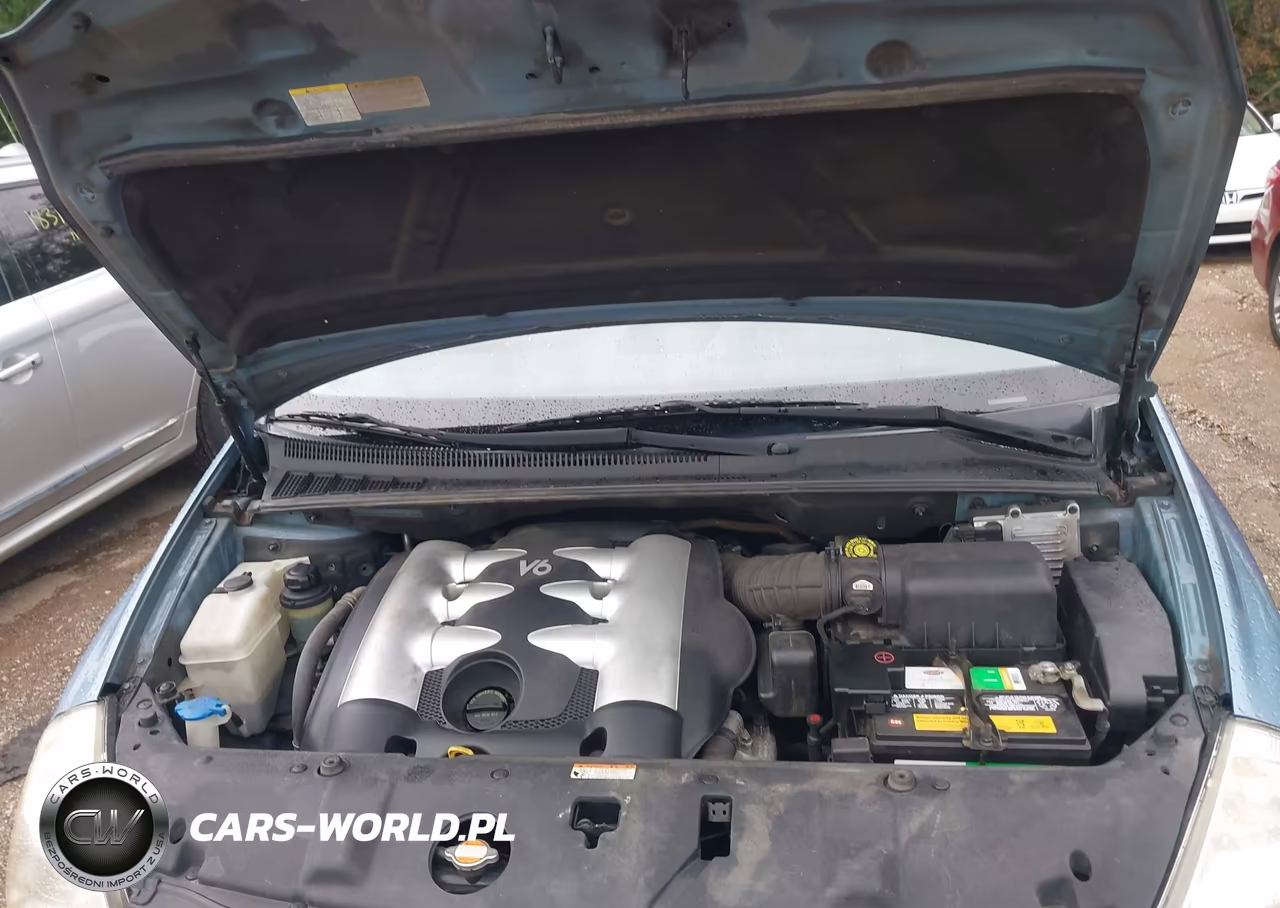 2007 Kia Sedona Lx VIN:KNDMB233876184186 - 10