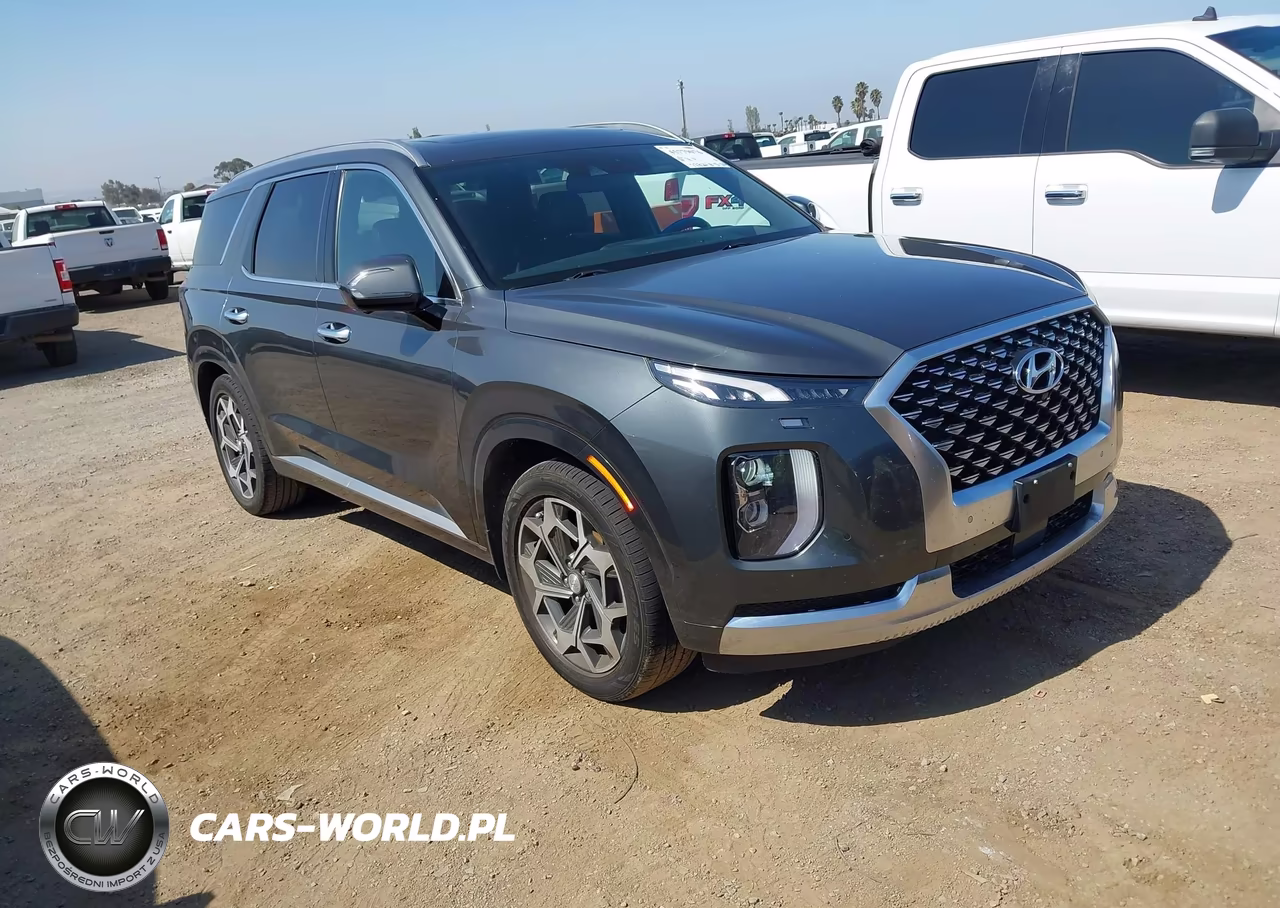 2022 Hyundai Palisade Calligraphy VIN:KM8R74HE2NU347318 - 1