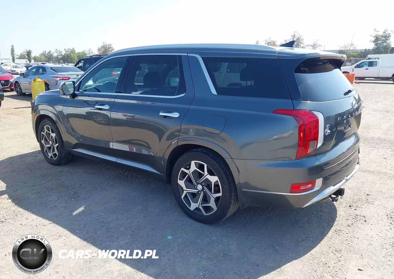 2022 Hyundai Palisade Calligraphy VIN:KM8R74HE2NU347318 - 3
