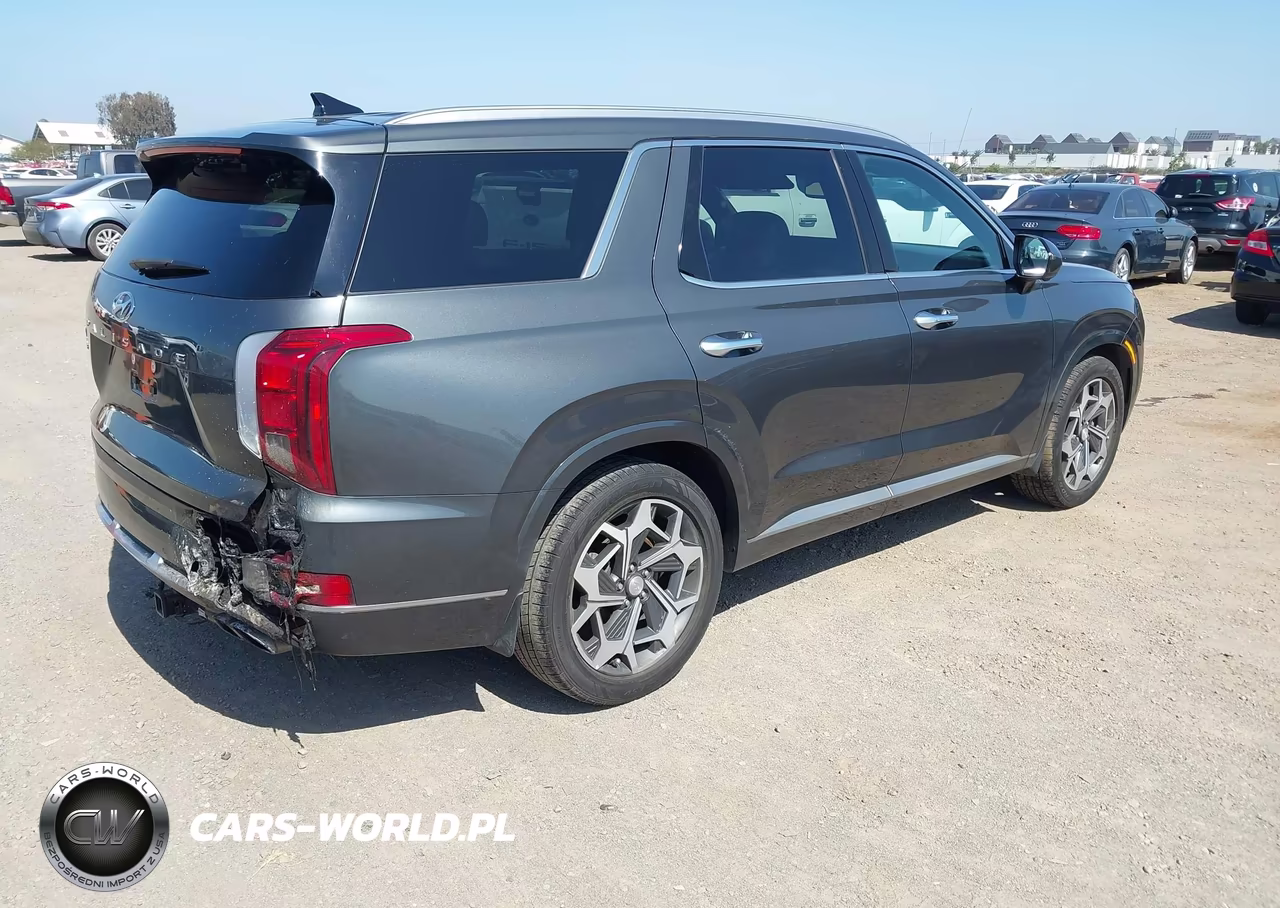 2022 Hyundai Palisade Calligraphy VIN:KM8R74HE2NU347318 - 4