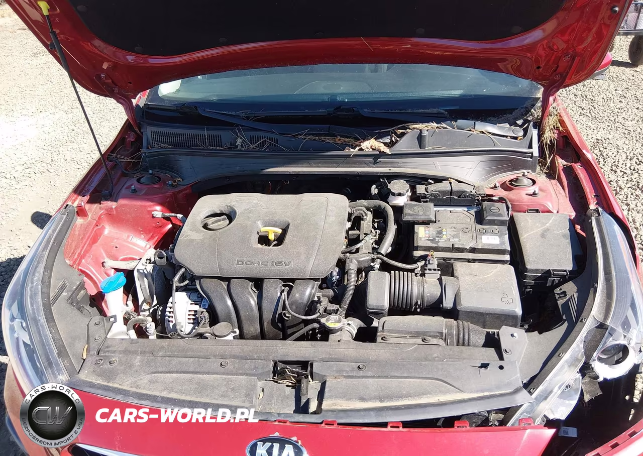 2019 Kia Forte Lxs VIN:3KPF24AD9KE115669 - 10