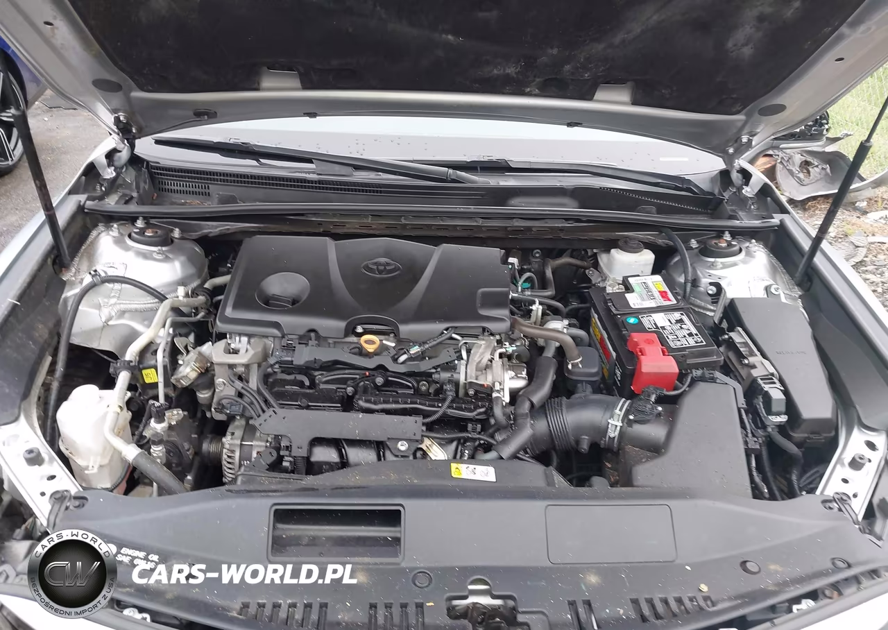 2019 Toyota Camry Le VIN:4T1B11HKXKU210632 - 10