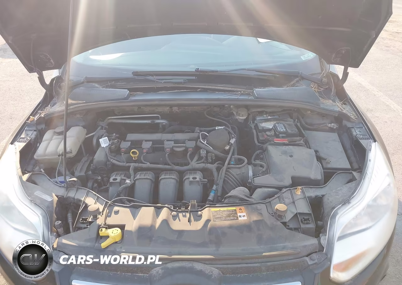 2013 Ford Focus Se VIN:1FADP3F22DL351302 - 10