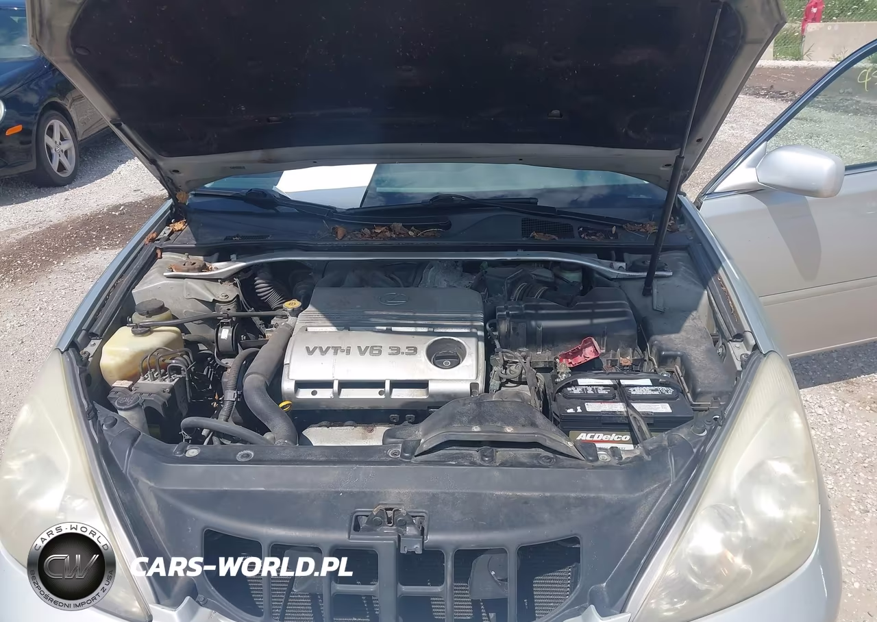 2004 Lexus Es 330 VIN:JTHBA30G845012375 - 10