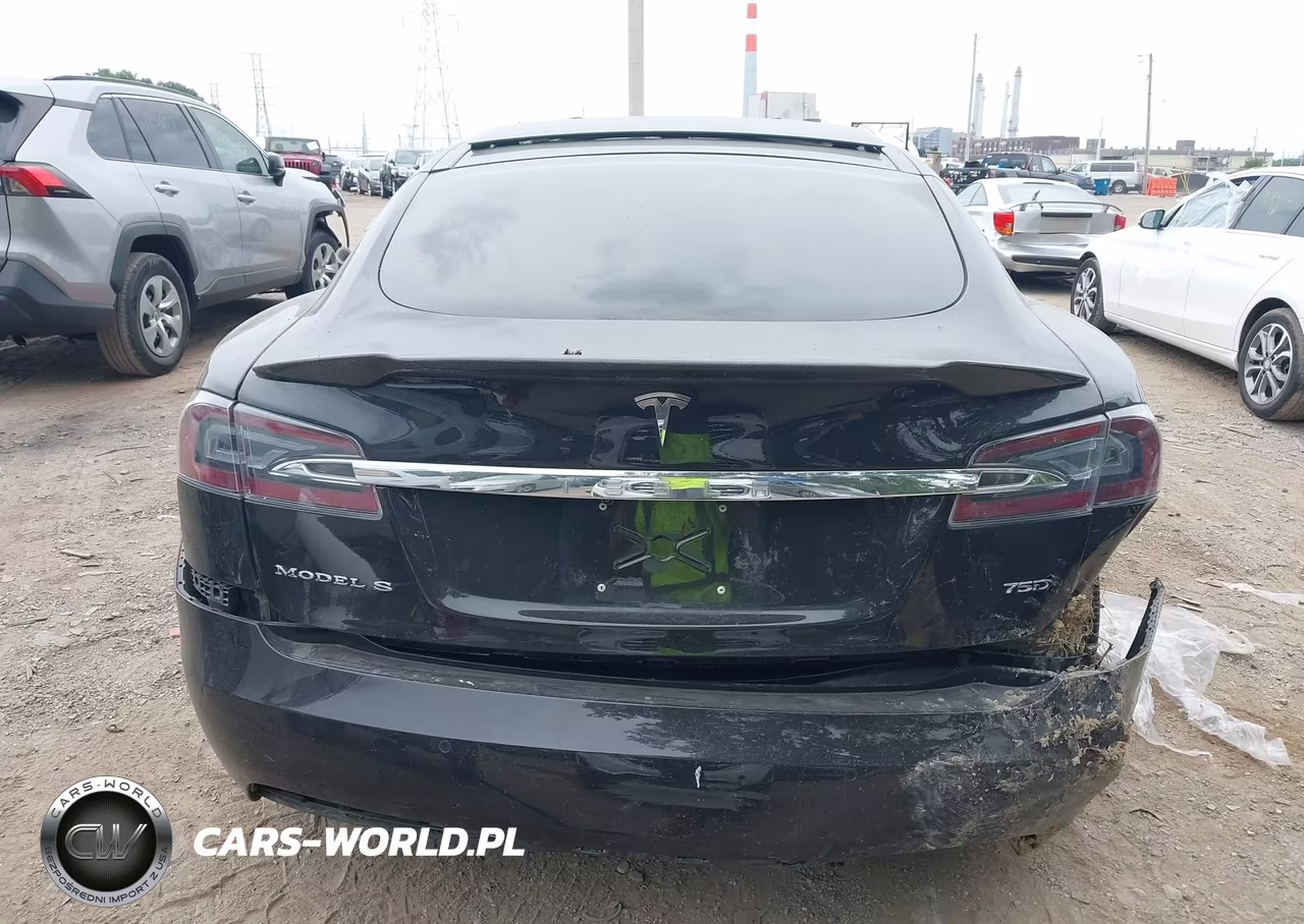 2018 Tesla Model S 100D-75D-P100D VIN:5YJSA1E26JF257219 - 15