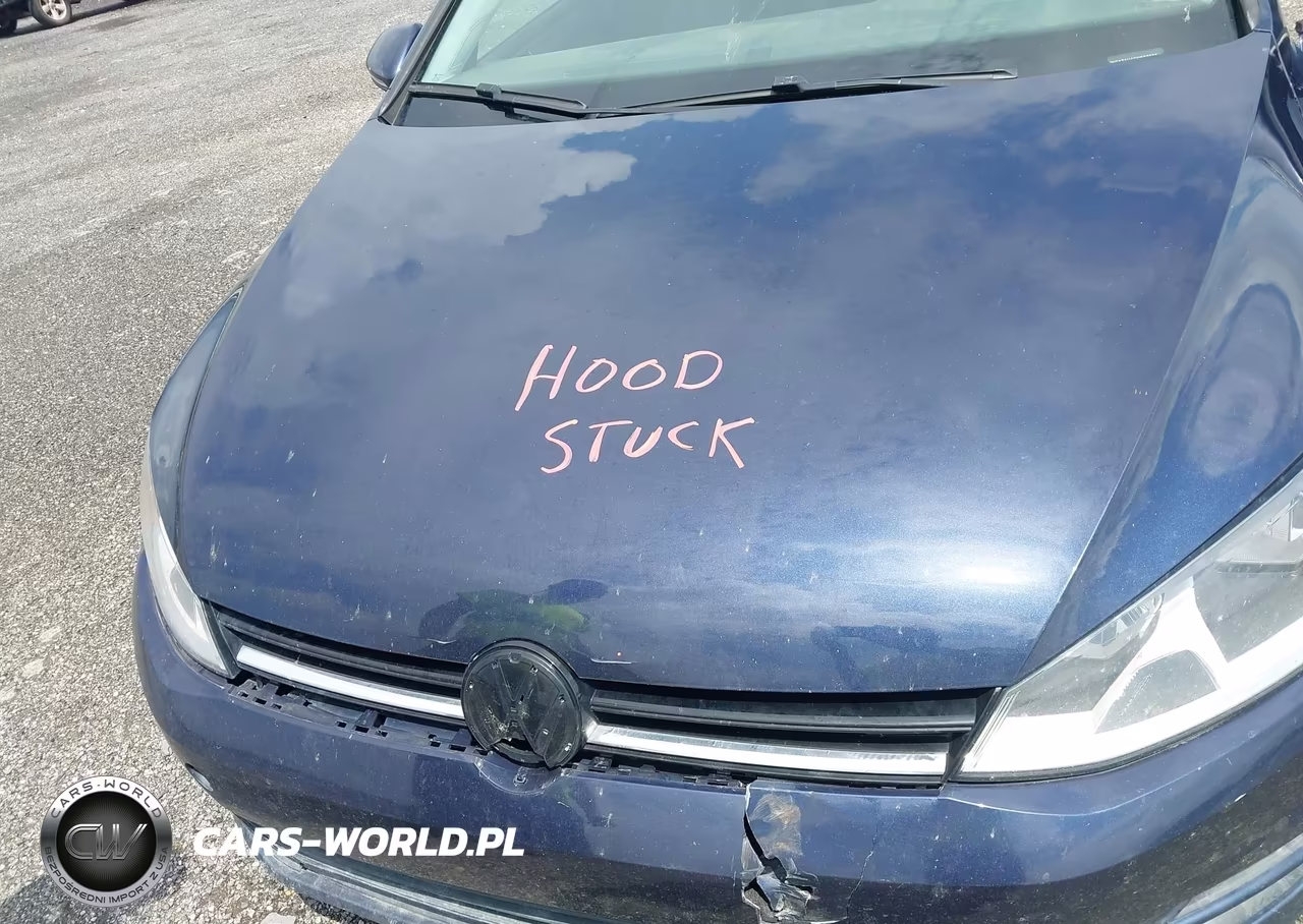 2016 Volkswagen Golf Sportwagen Tsi Limited Edition-Tsi S 4-Door-Tsi Se 4-Door-Tsi Sel 4-Door VIN:3VWC17AU4GM523336 - 10