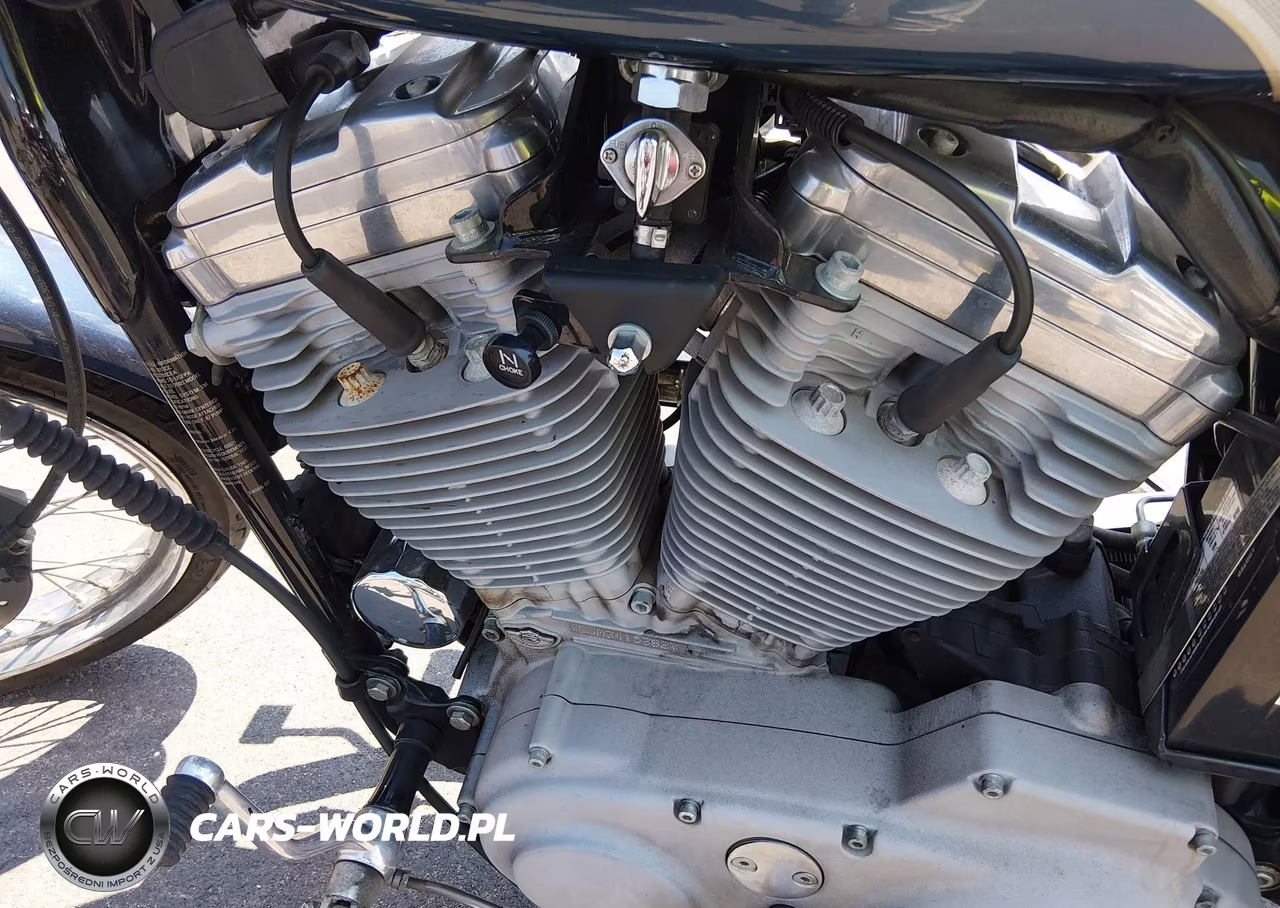 2003 Harley-Davidson Xl883 C VIN:1HD4CJM183K415382 - 9