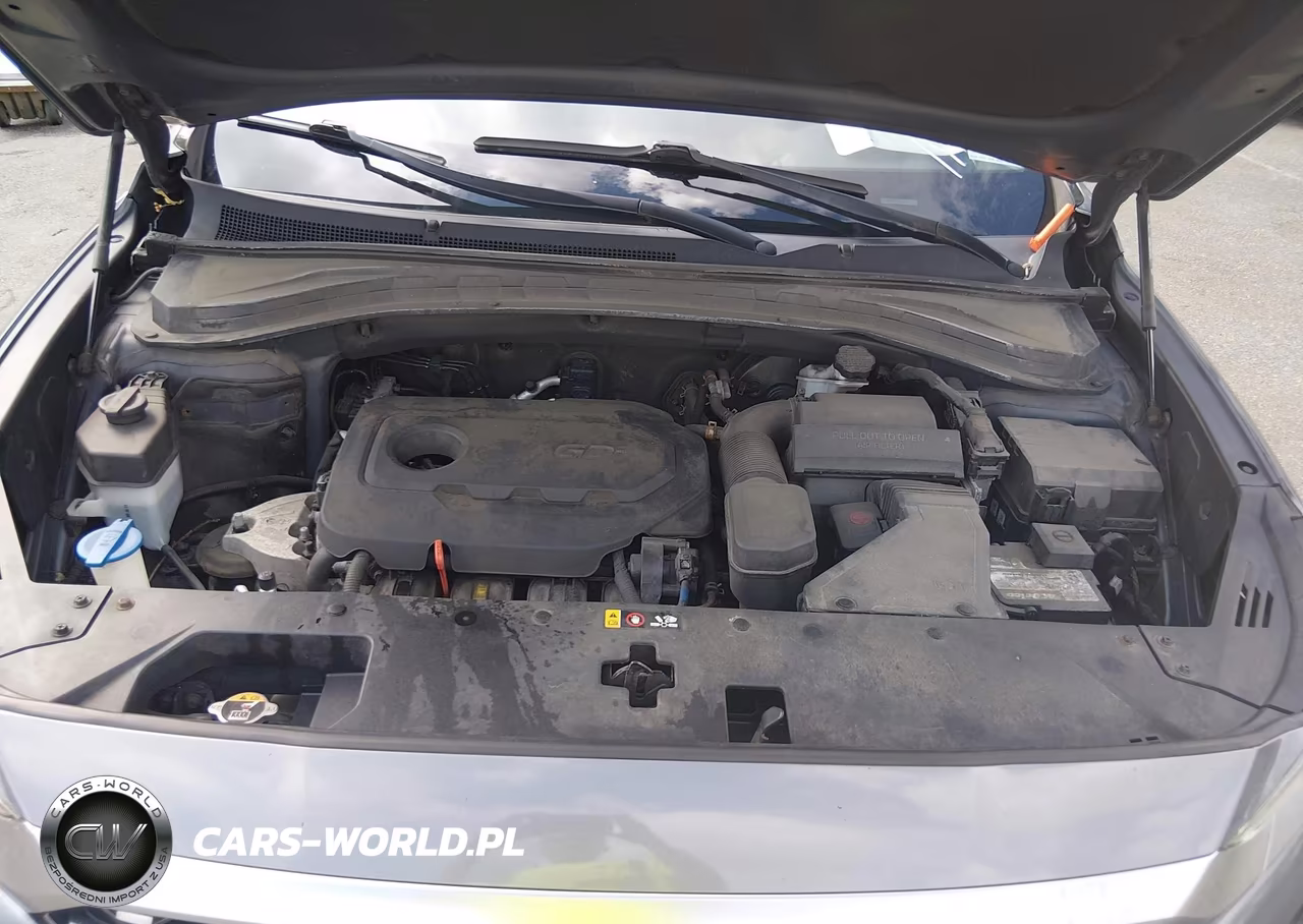 2019 Hyundai Santa Fe Se VIN:5NMS2CAD9KH116676 - 10