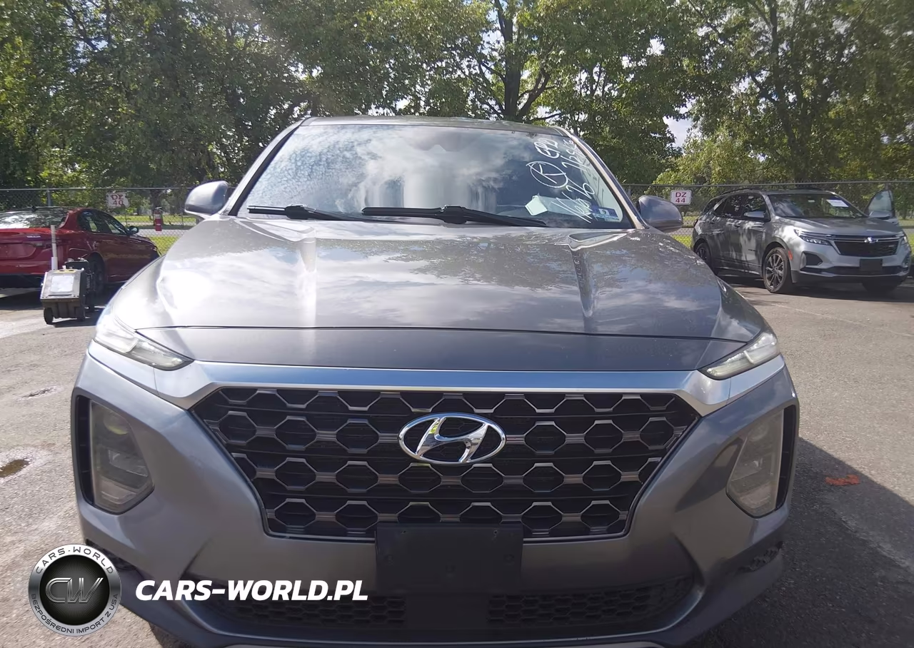 2019 Hyundai Santa Fe Se VIN:5NMS2CAD9KH116676 - 12