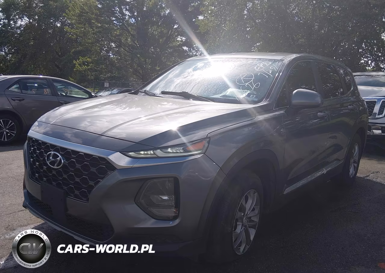 2019 Hyundai Santa Fe Se VIN:5NMS2CAD9KH116676 - 2