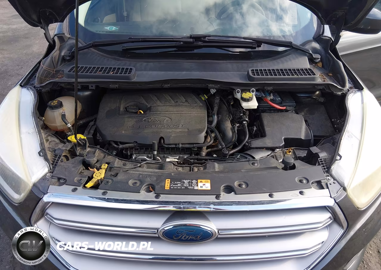2017 Ford Escape Se VIN:1FMCU0GD2HUE64238 - 10