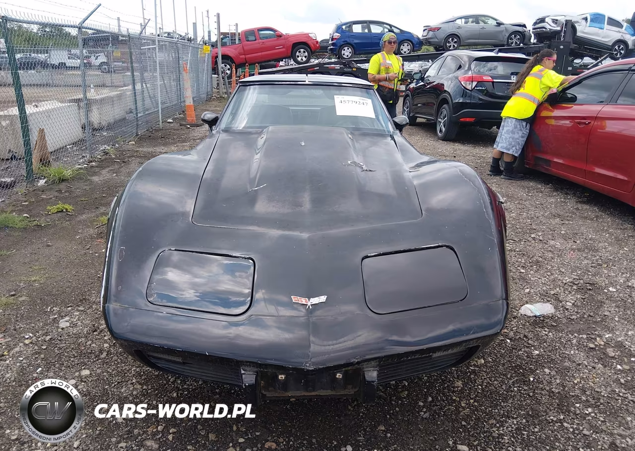 1979 Chevrolet Corvette VIN:00001Z8749S428320 - 12