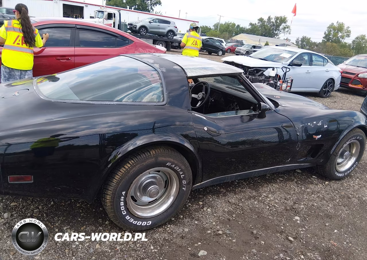 1979 Chevrolet Corvette VIN:00001Z8749S428320 - 13