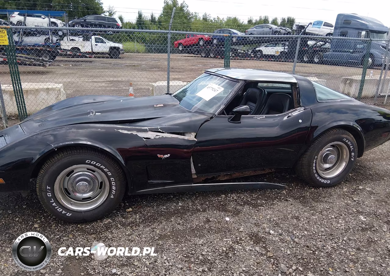 1979 Chevrolet Corvette VIN:00001Z8749S428320 - 14