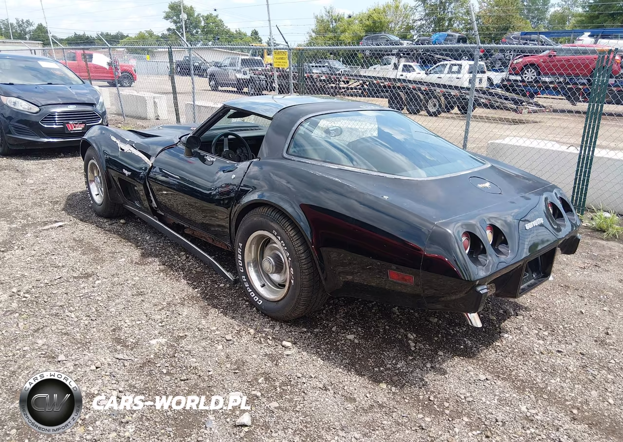 1979 Chevrolet Corvette VIN:00001Z8749S428320 - 3