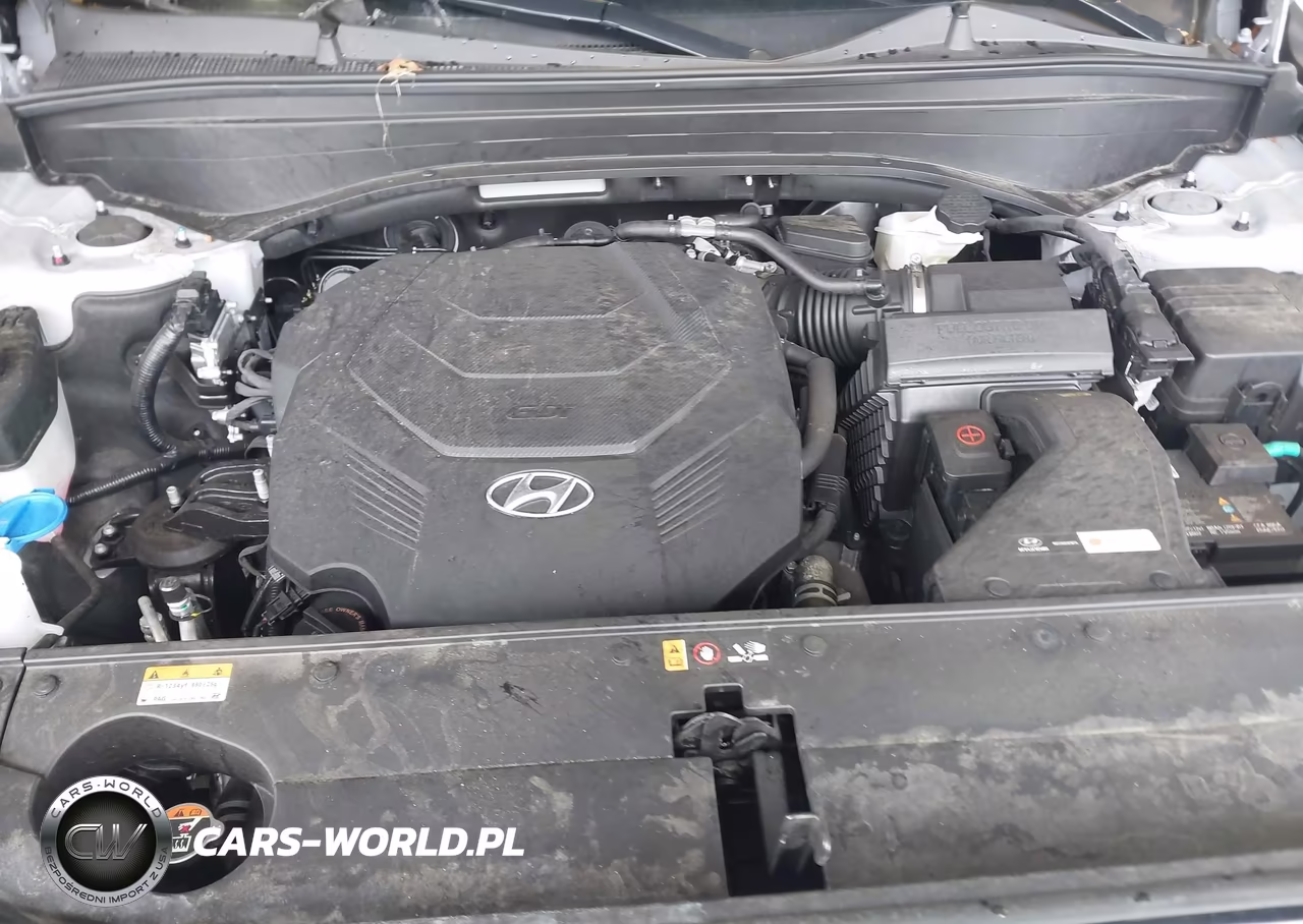 2025 Hyundai Palisade Sel VIN:KM8R2DGEXSU890749 - 10