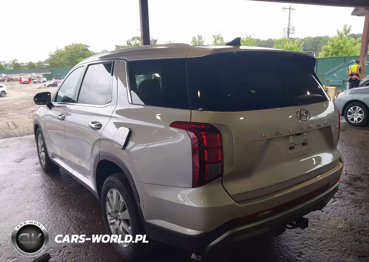 2025 Hyundai Palisade Sel VIN:KM8R2DGEXSU890749 - 3