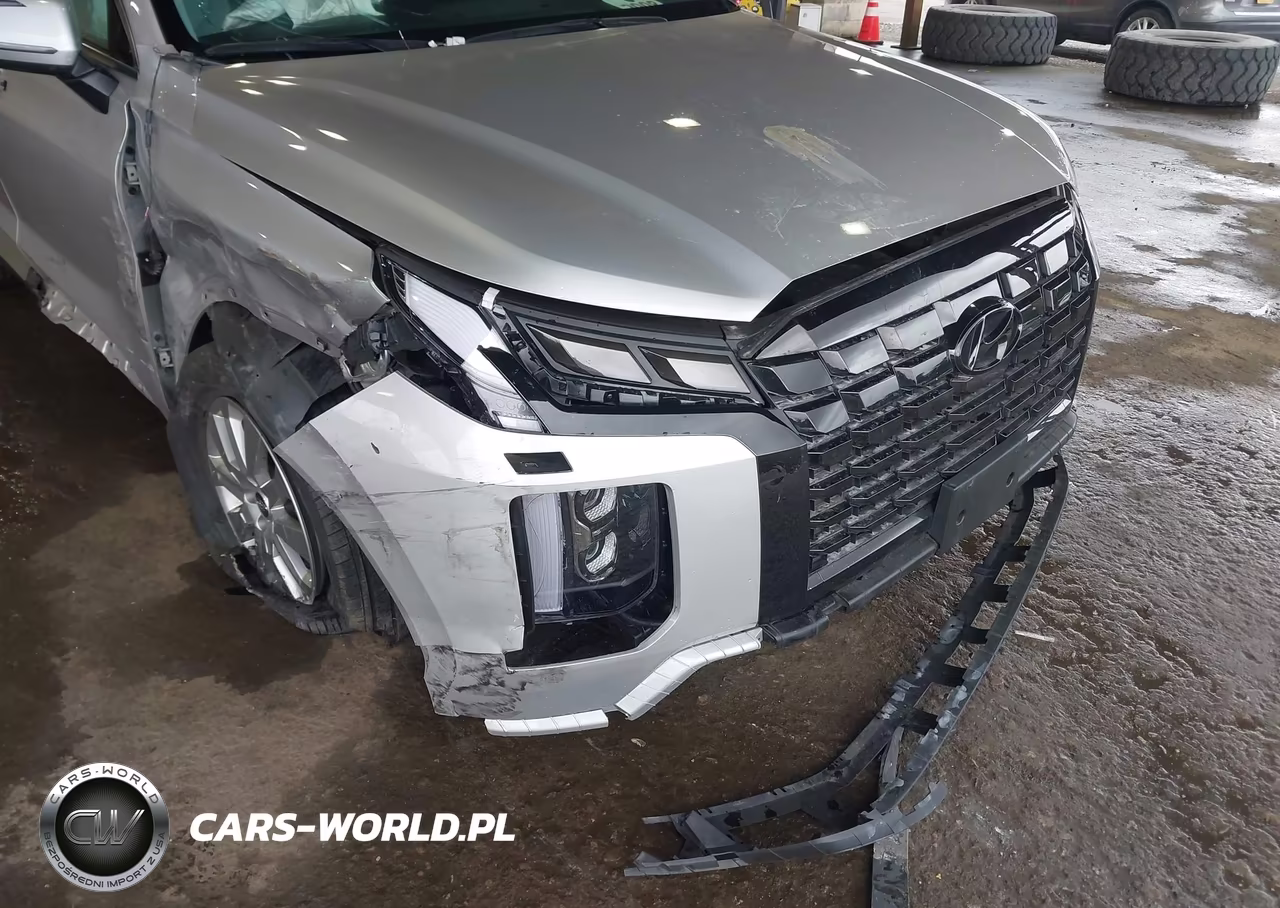 2025 Hyundai Palisade Sel VIN:KM8R2DGEXSU890749 - 6