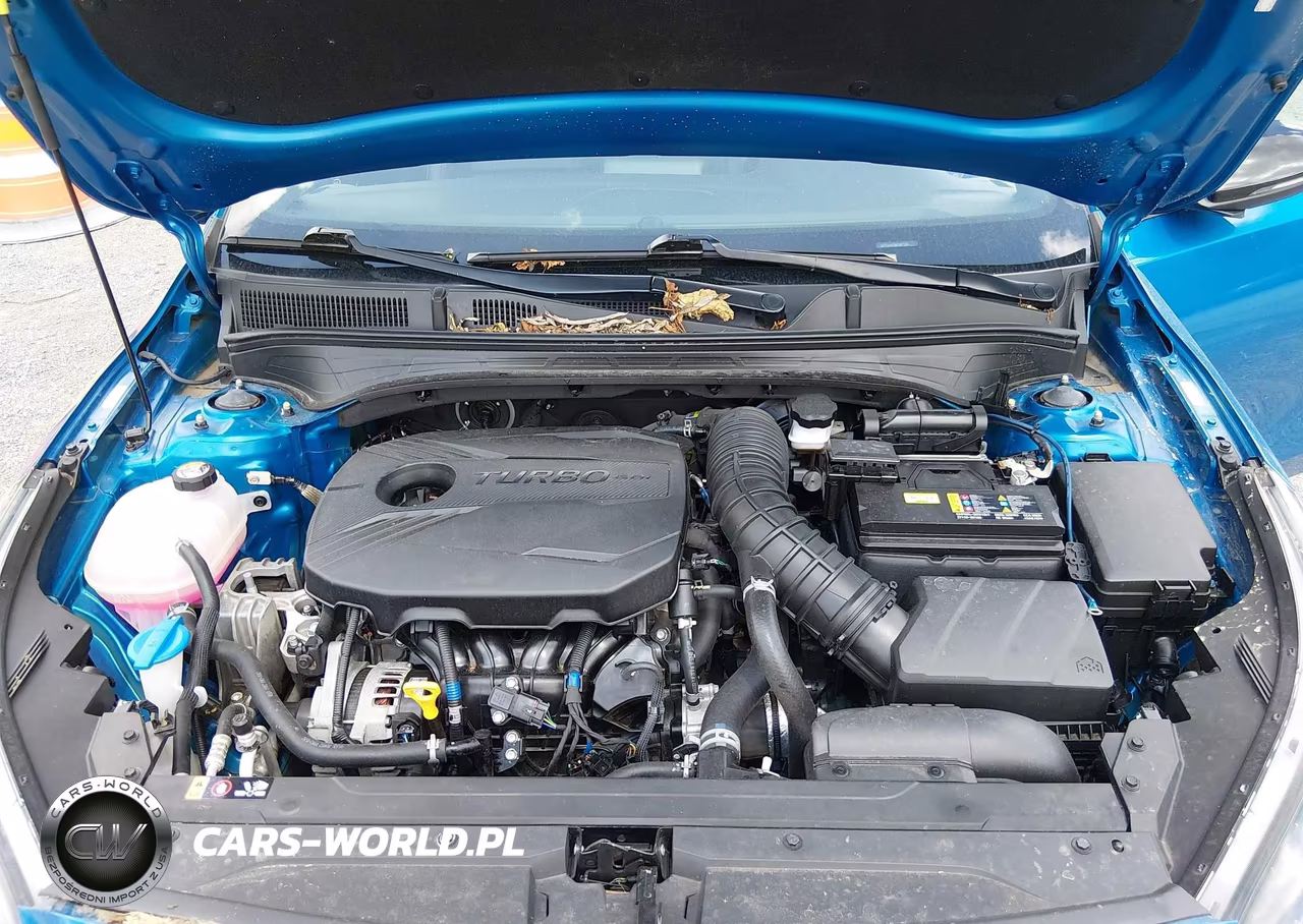 2024 Kia Forte Gt VIN:3KPF44AC9RE687336 - 10