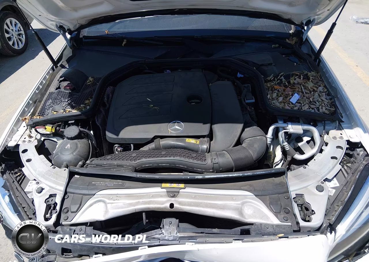 2019 Mercedes-Benz C 300 VIN:55SWF8DB7KU304884 - 10
