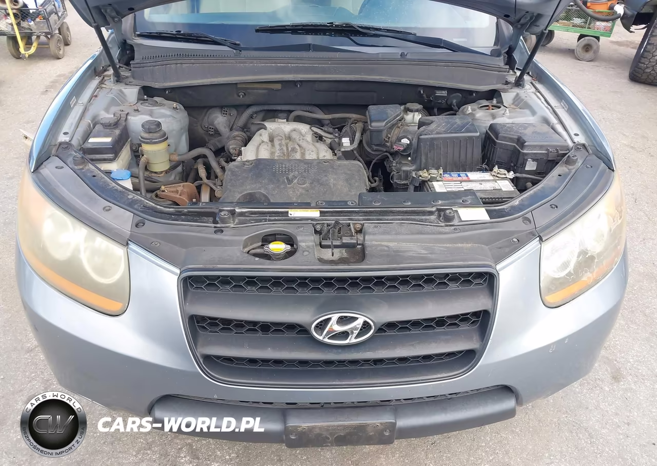 2009 Hyundai Santa Fe Gls VIN:5NMSG13D89H286279 - 10