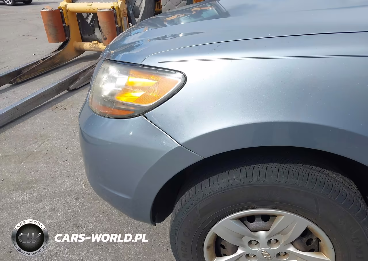 2009 Hyundai Santa Fe Gls VIN:5NMSG13D89H286279 - 21